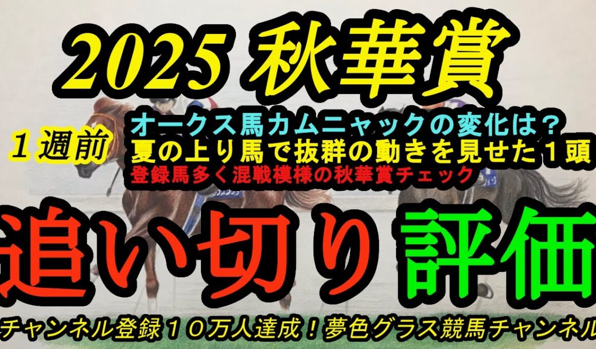 【1週前追い切り評価】2025秋華賞！オークス馬カムニャックの動きに変化あり！？夏の間に力をつけて抜群の動きをした馬とは？