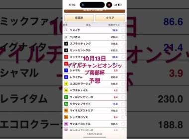 競馬、10月13日マイルチャンピオンシップ南部杯、予想