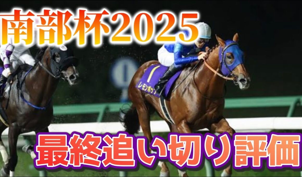 南部杯2025 最終追い切り評価