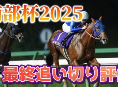 南部杯2025 最終追い切り評価
