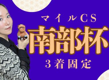 【マイルチャンピオンシッ南部杯2025】三連単3着固定で万馬券を狙ってみた【地方競馬】