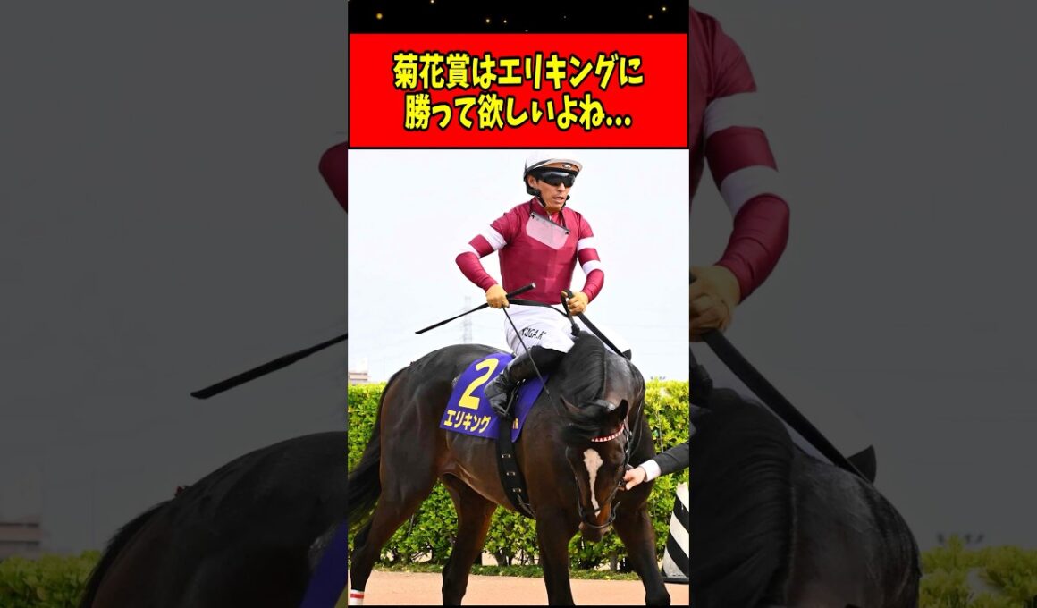【競馬】菊花賞はエリキングに勝って欲しいよね... #shorts