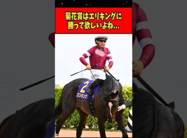 【競馬】菊花賞はエリキングに勝って欲しいよね... #shorts