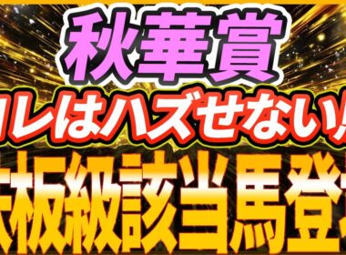 【秋華賞2025】カムニャックVSエンブロイダリー？京都秋華賞で狙うべきなのはこのタイプ【Part1】