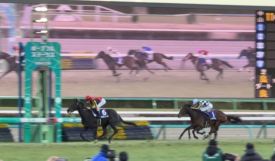2024 12 28 中山11R ホープフルS  生ファンファーレ〜レース