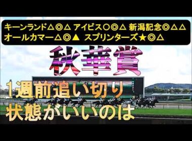 秋華賞2025　1週前追い切り　春の実績馬はB＋まで