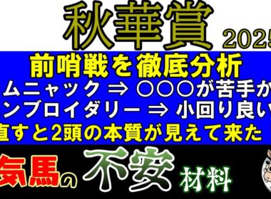 秋華賞2025はカムニャックｖｓエンブロイダリーの2強対決？本当に2頭は抜けているのか？2頭の弱点と思われる部分を解説！
