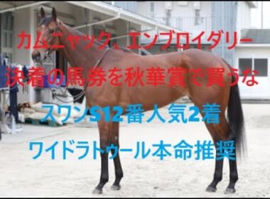 秋華賞 2025 カムニャック、エンブロイダリー決着の馬券は買うな １２番人気本命ワイドラトゥール２着激走