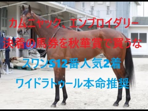 秋華賞 2025 カムニャック、エンブロイダリー決着の馬券は買うな １２番人気本命ワイドラトゥール２着激走