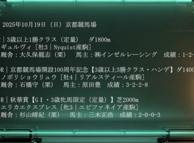 【武豊】週末の騎乗予定馬！京都は秋華賞！エリカエクスプレスに騎乗！東京は期待の好素材マジックサンズ、スマートプリエールが登場！ マイルCS南部杯サンライズジパングの感想