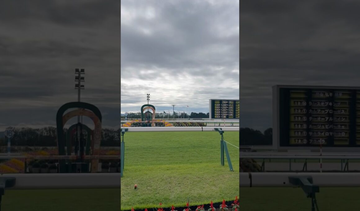 京都競馬場￼ 第30回秋華賞ゴール板