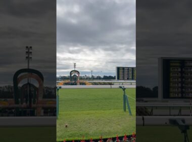 京都競馬場￼ 第30回秋華賞ゴール板