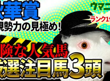 【秋華賞2025】2025年120万超プラス収支「霧プロ」の危険な人気馬＆厳選注目馬とは？