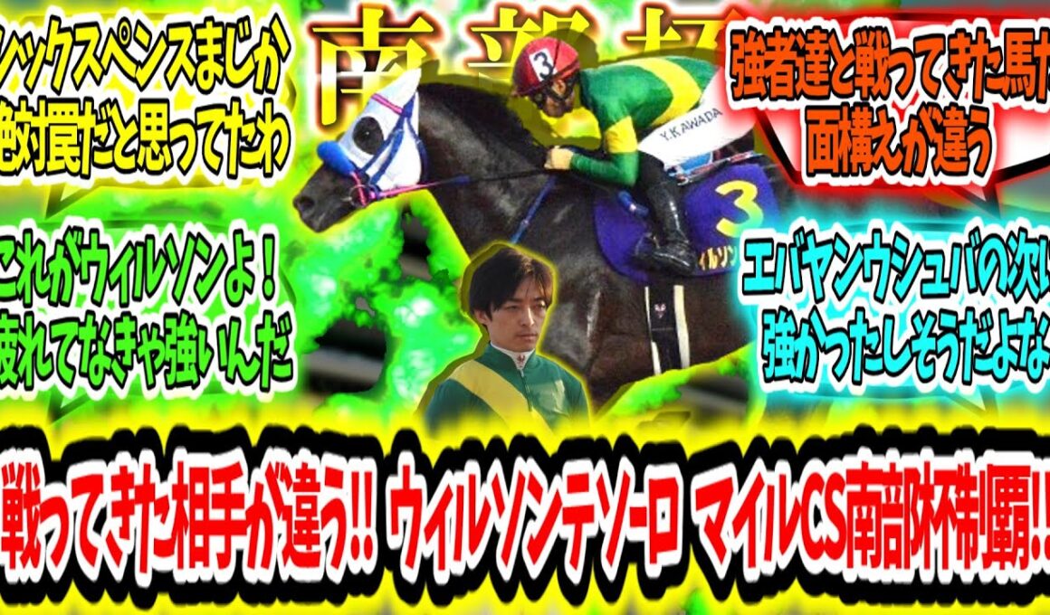 『これが世界を渡り歩いた力だ‼ウィルソンテソｰロ マイルCS南部杯制覇‼』に対するみんなの反応【競馬の反応集】