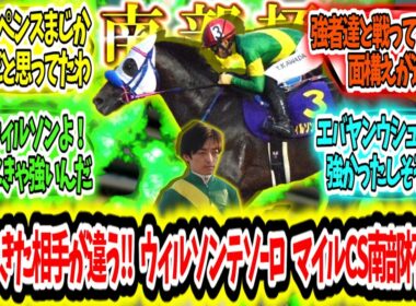 『これが世界を渡り歩いた力だ‼ウィルソンテソｰロ マイルCS南部杯制覇‼』に対するみんなの反応【競馬の反応集】