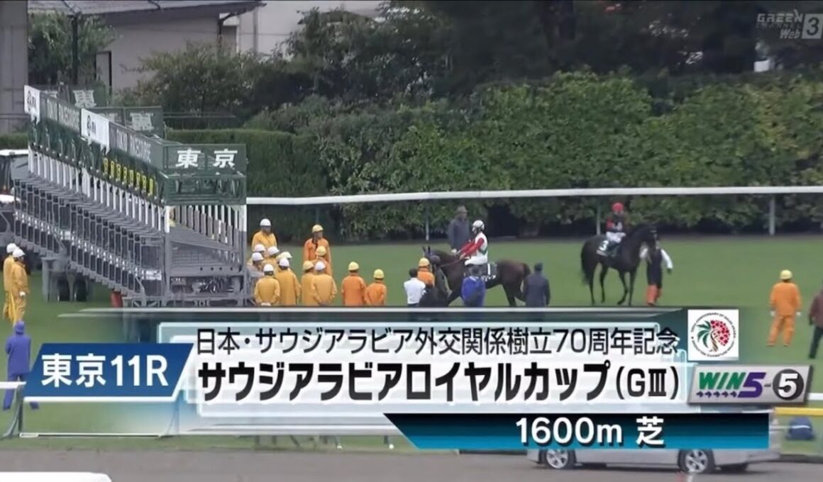 東京11R 日本・サウジアラビア外交関係樹立70周年記念　第11回サウジアラビアロイヤルカップ（GⅢ）