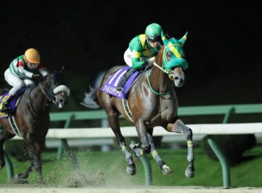 第38回マイルチャンピオンシップ南部杯（JpnⅠ）◆R7（2025/10/13）