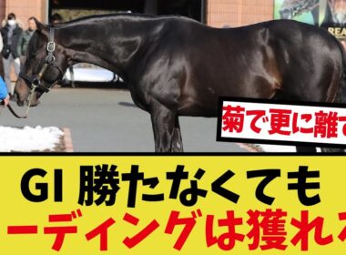 「いつの間にかキズナがリーディング首位になってる件」に対するみんなの反応集