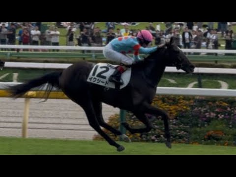 ［現地観戦］2025.10.12（日） 東京5R 2歳新馬戦