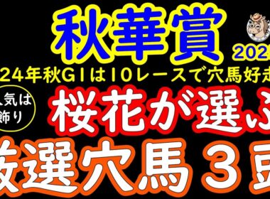 秋華賞2025桜花が選ぶ厳選穴馬3頭！秋華賞は2強構成となりそうだが実力的には引けを取らない馬が多数いる！その中から妙味のある馬を3頭ピックアップ！