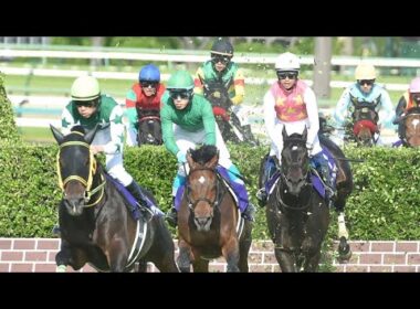 【J・GI】第26回農林水産省賞典中山グランドジャンプ実況[優勝馬　イロゴトシ　黒岩悠騎手]