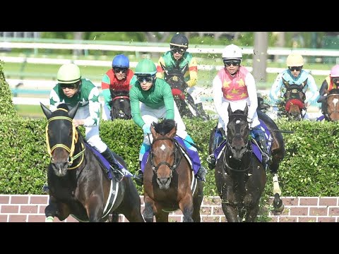 【J・GI】第26回農林水産省賞典中山グランドジャンプ実況[優勝馬　イロゴトシ　黒岩悠騎手]