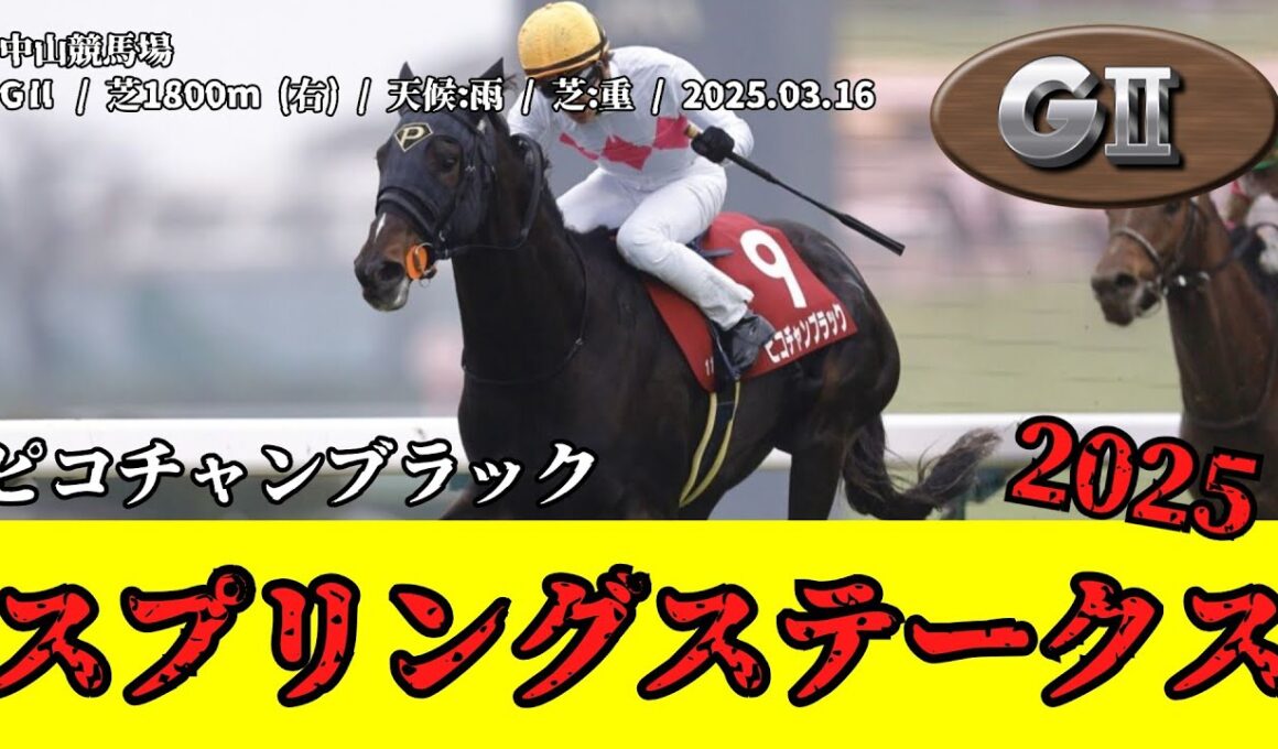 【競馬】 スプリングステークス （皐月賞トライアル） 2025 / ピコチャンブラック