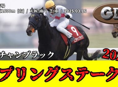 【競馬】 スプリングステークス （皐月賞トライアル） 2025 / ピコチャンブラック