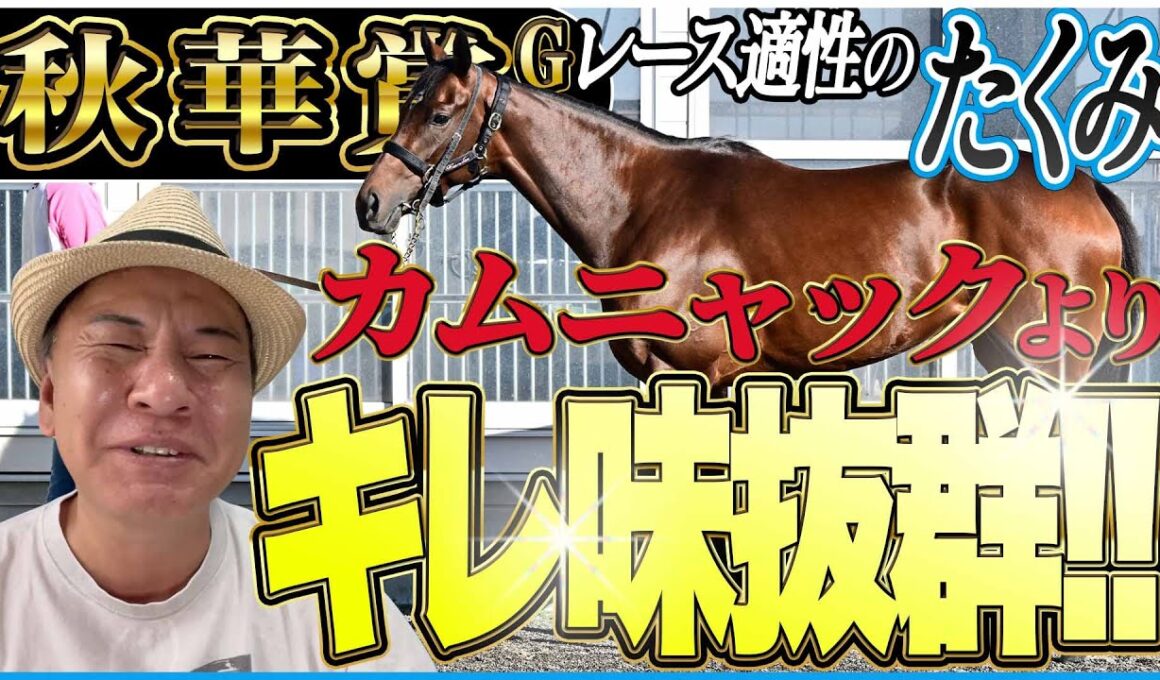 【秋華賞2025】必要な要素はキレ味のみ！太組不二雄が牝馬三冠最終戦をジャッジ！《東スポ競馬》