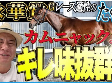 【秋華賞2025】必要な要素はキレ味のみ！太組不二雄が牝馬三冠最終戦をジャッジ！《東スポ競馬》