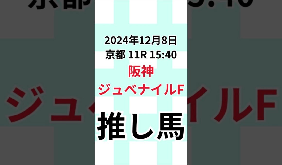 【阪神ジュベナイルフィリーズ2024推し馬】2024年12月8日京都 11R 15:40 #当たる競馬 #阪神ジュベナイルフィリーズ  #解説 #当たる競馬予想  #競馬予想 #競馬予想動画