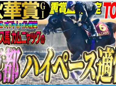 【秋華賞2025】スワンS推奨オフトレイル勝利！注目血統でオークスよりさらに向く可能性！(坂上明大の重賞血統査定)《東スポ競馬》