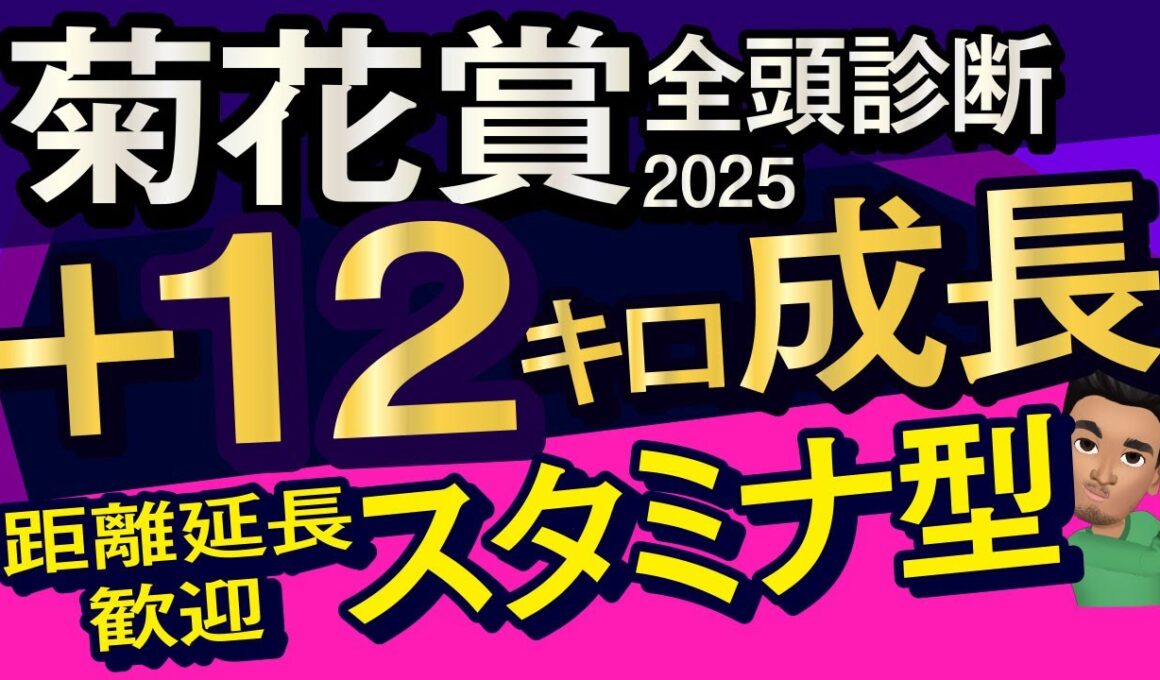 【菊花賞2025予想大会・全頭診断】プラス12キロ成長の距離延長歓迎スタミナ馬！レースのシュミレーションしてみた！エリキング、エネルジコ、アマキヒ、ショウヘイ、ヤマニンブークリエなど出走予定。