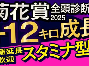 【菊花賞2025予想大会・全頭診断】プラス12キロ成長の距離延長歓迎スタミナ馬！レースのシュミレーションしてみた！エリキング、エネルジコ、アマキヒ、ショウヘイ、ヤマニンブークリエなど出走予定。