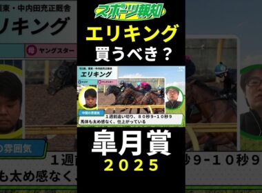 【皐月賞2025】エリキングは買うべき？クロワデュノールのライバルを徹底検証