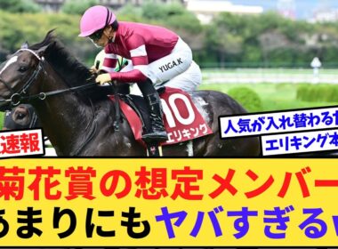 【速報】菊花賞の想定メンバーが超絶ヤバすぎる件www