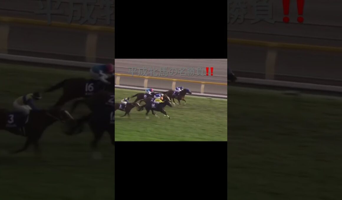 名勝負　　ダイワスカーレット　#天皇賞  #秋華賞 #ジャパンカップ #有馬記念 #競馬