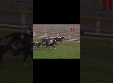 名勝負　　ダイワスカーレット　#天皇賞  #秋華賞 #ジャパンカップ #有馬記念 #競馬