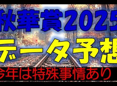 秋華賞2025　データ予想