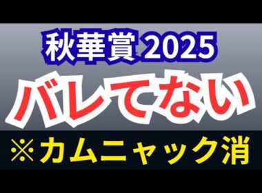 【秋華賞2025・予想】全頭評価！カムニャック妙味無！やめとけ！穴は〇〇！S評価本線2頭とA評価相手3頭まで絞る！枠発表前予想！過去分析＞パドック調教の定量的ロジカル【競馬予想】