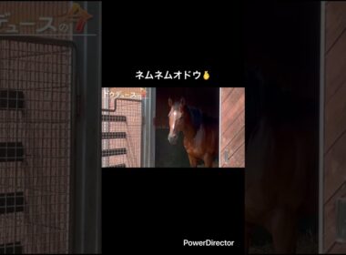 ネムネムオドウ🫰