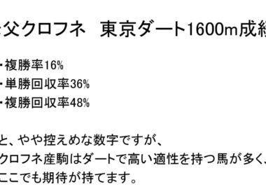 【種牡馬予想】第42回フェブラリーステークス（GⅠ）