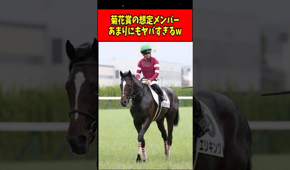 【速報】菊花賞の想定メンバーが超絶ヤバすぎる件www#shorts
