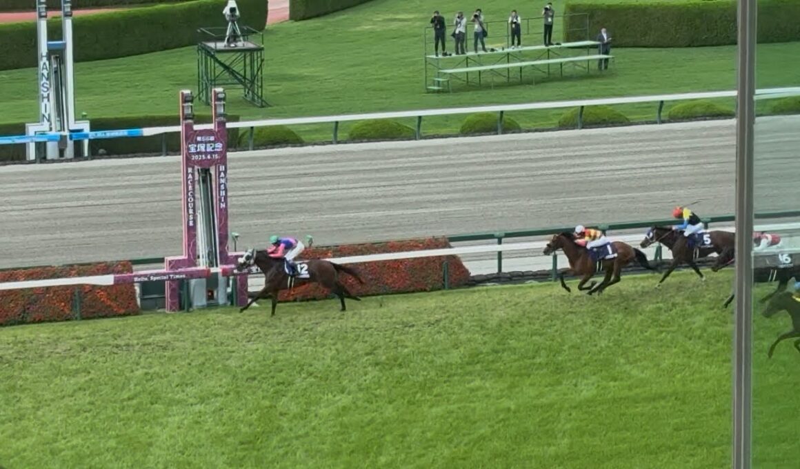 2025年6月15日　第66回宝塚記念　メイショウタバル号武豊騎手優勝　指定席からの映像