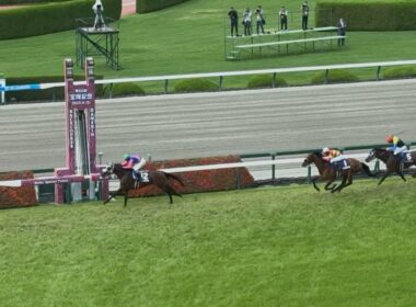 2025年6月15日　第66回宝塚記念　メイショウタバル号武豊騎手優勝　指定席からの映像