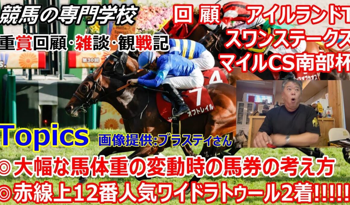 【アイルランドT スワンS マイルCS南部杯】回顧・雑談・観戦記 赤線上指名12番人気ワイドラトゥール激走！ありがとう！！