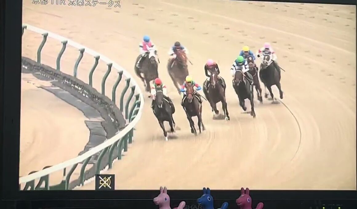 【競馬実況動画2025】太秦ステークス ハピ(菱田裕二)