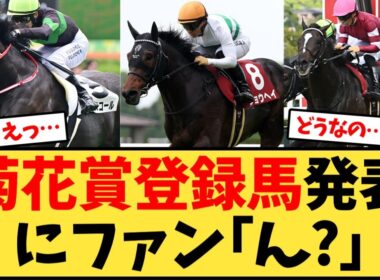 菊花賞、登録馬発表にファン｢ん?｣【競馬反応集】