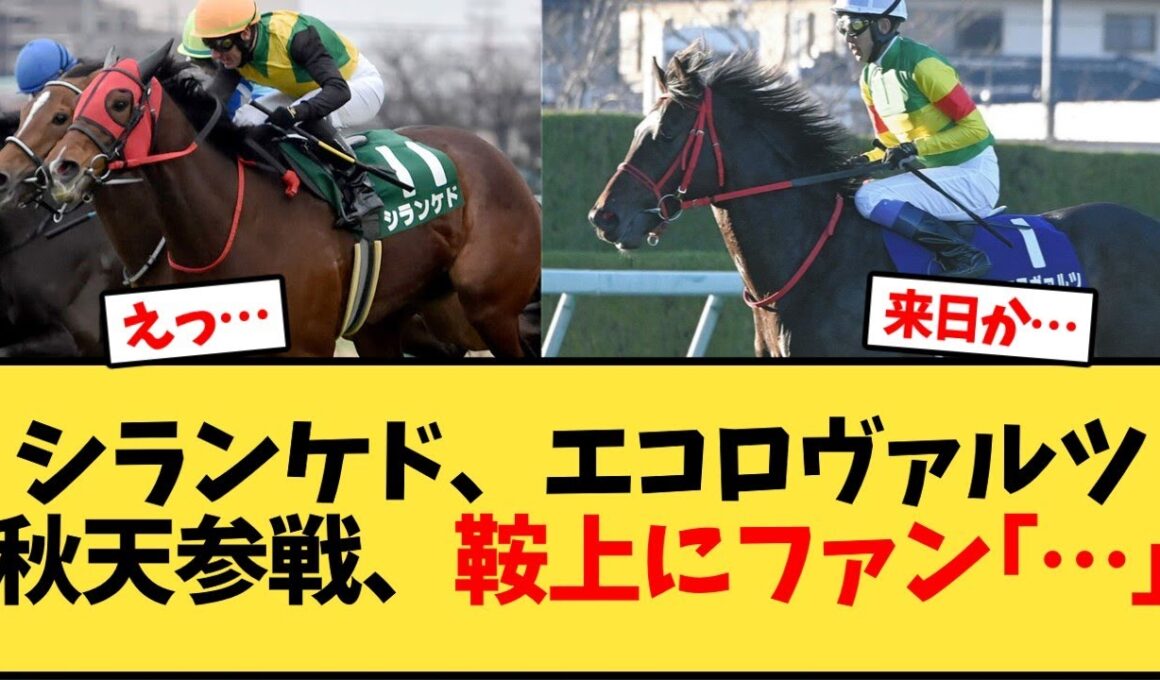 シランケド、エコロヴァルツ秋天参戦、鞍上にファン｢…｣【競馬反応集】