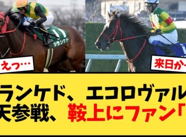 シランケド、エコロヴァルツ秋天参戦、鞍上にファン｢…｣【競馬反応集】